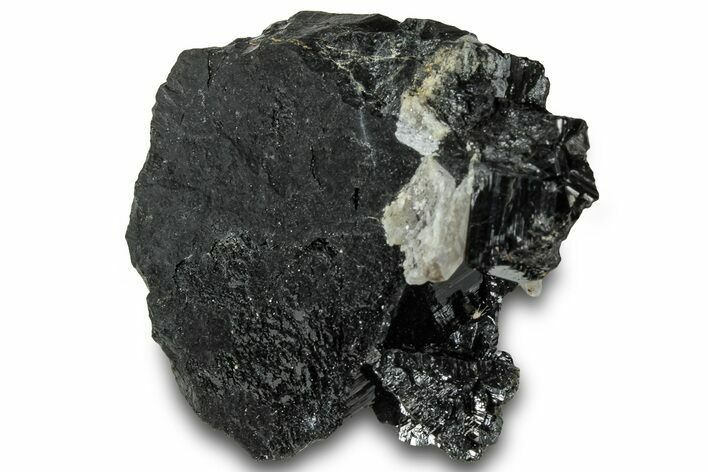 Black Tourmaline (Schorl) Crystal with Quartz - Namibia #322763